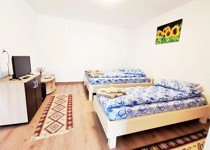 Casa Borcean 2