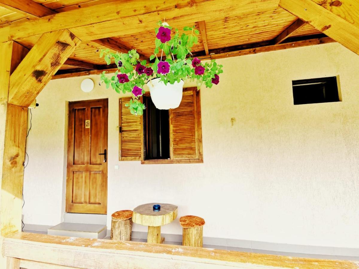 Casa Borcean 2 Sasca Montana