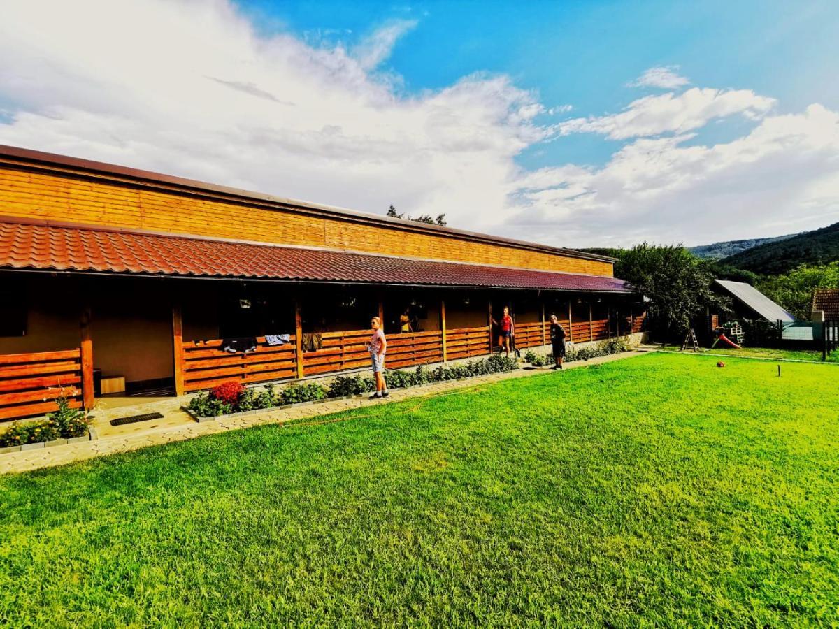 Casa Borcean 2 Sasca Montana