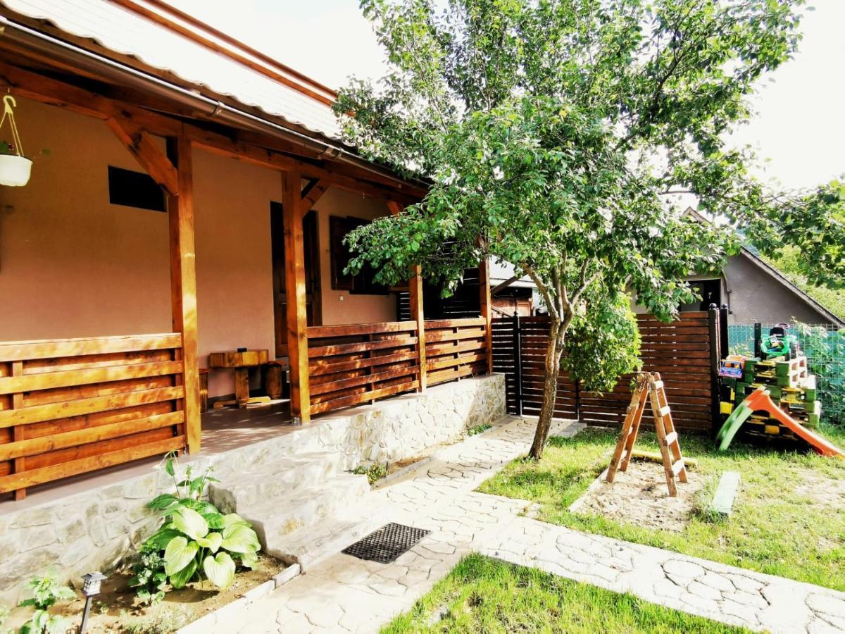 Country house Casa Borcean 2