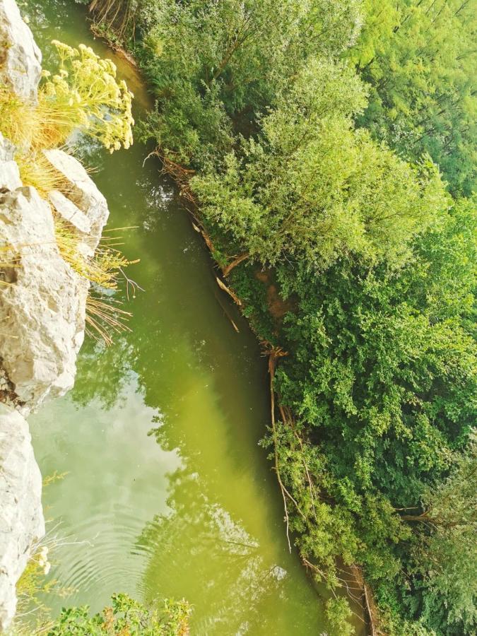 Casă la țară Casa Borcean 2 Sasca Montană