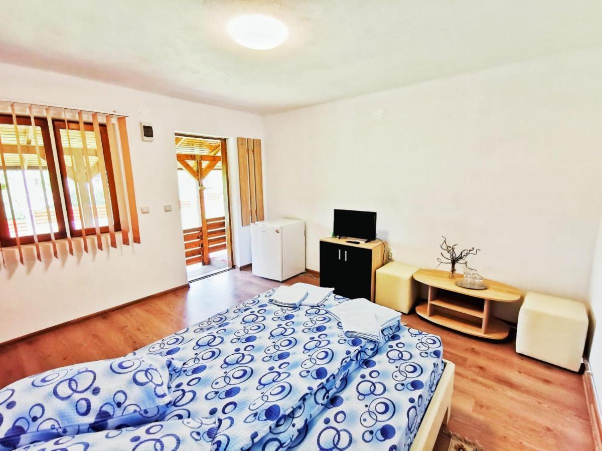 Casa Borcean 2 * Sasca Montana