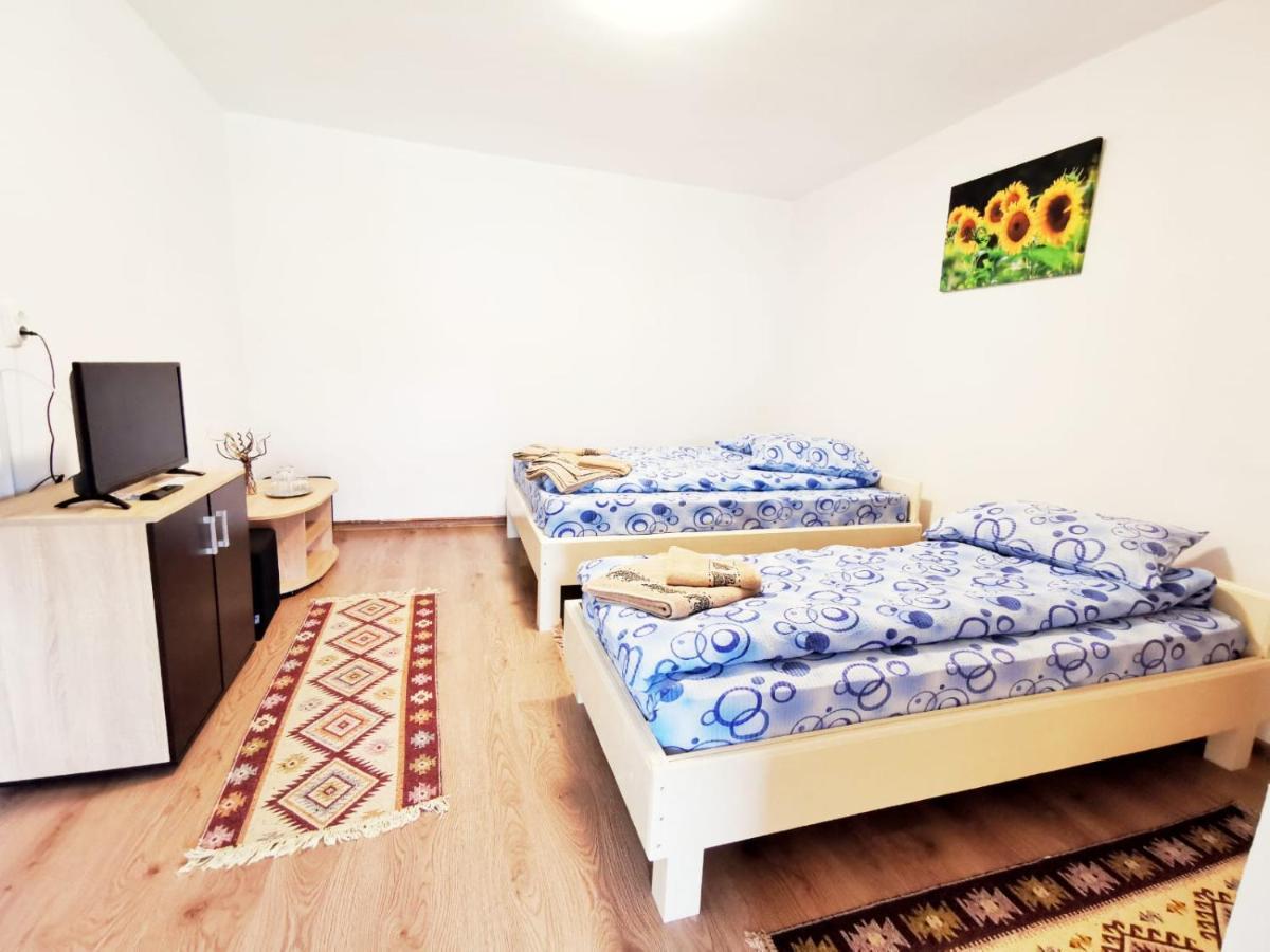Casa Borcean 2 *