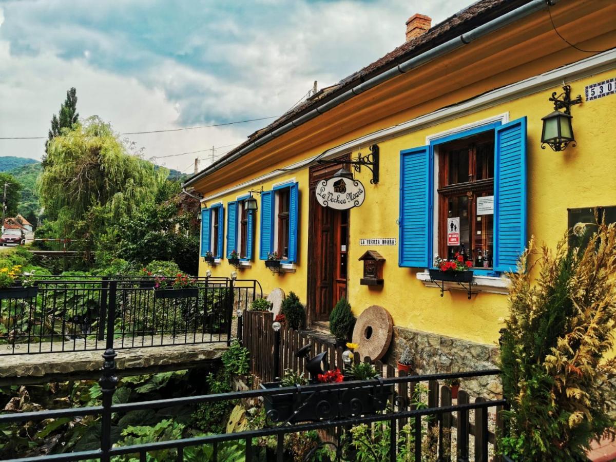 Country house Casa Borcean 2 Sasca Montana